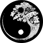 Taijitu stylisée