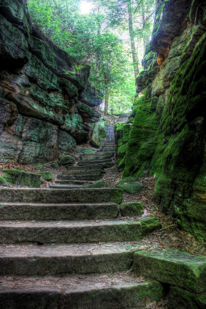 Escalier dans la nature qui évoque les étapes a franchir