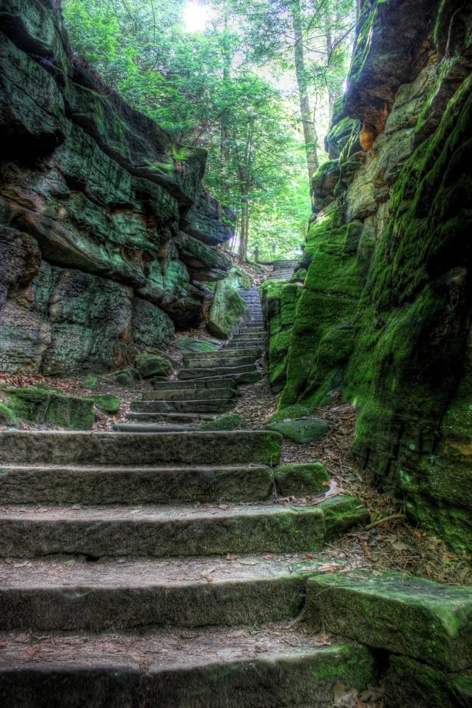 Escalier dans la nature qui évoque les étapes a franchir