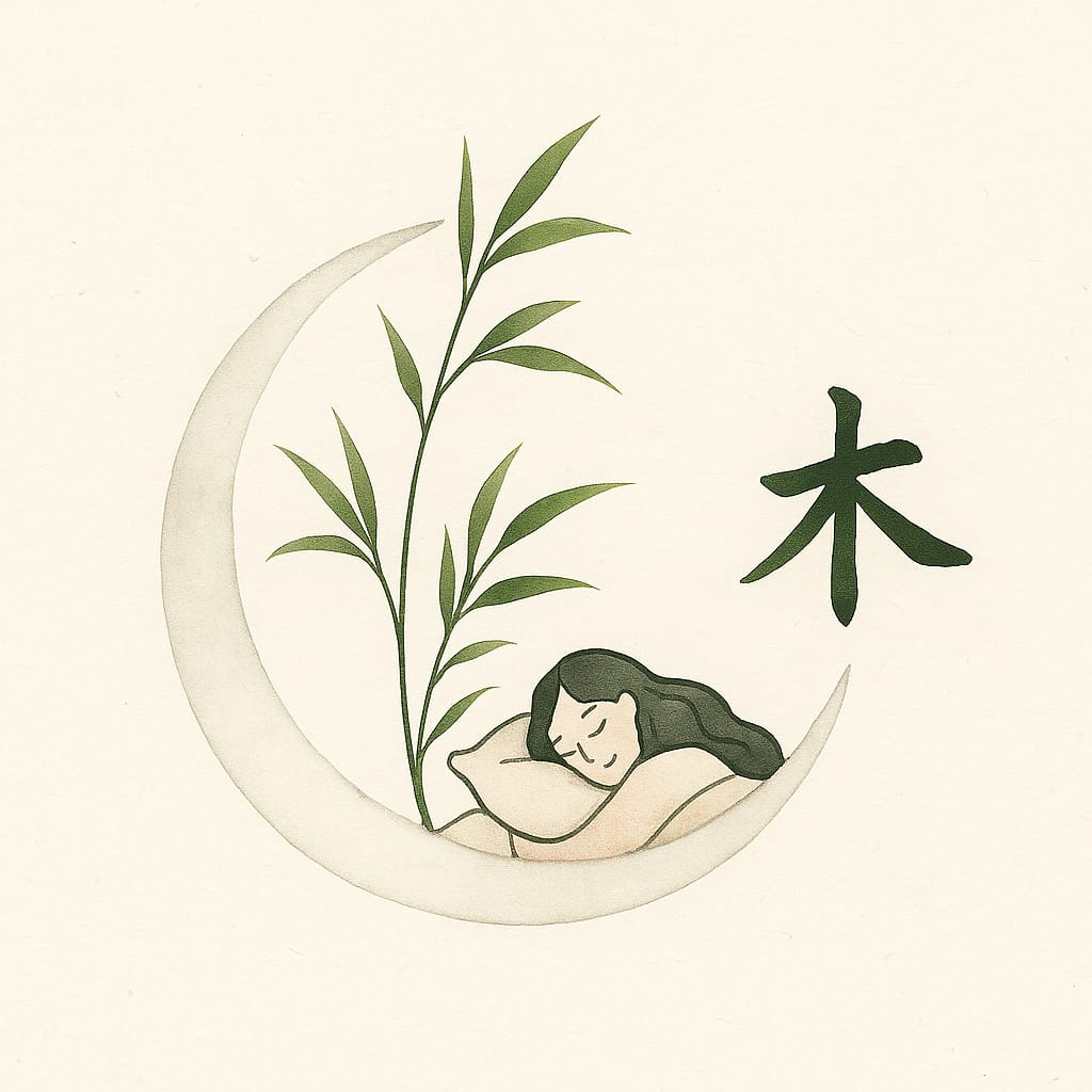 cercle enso, une plante et un symbole chinois. Une femme dort paisiblement